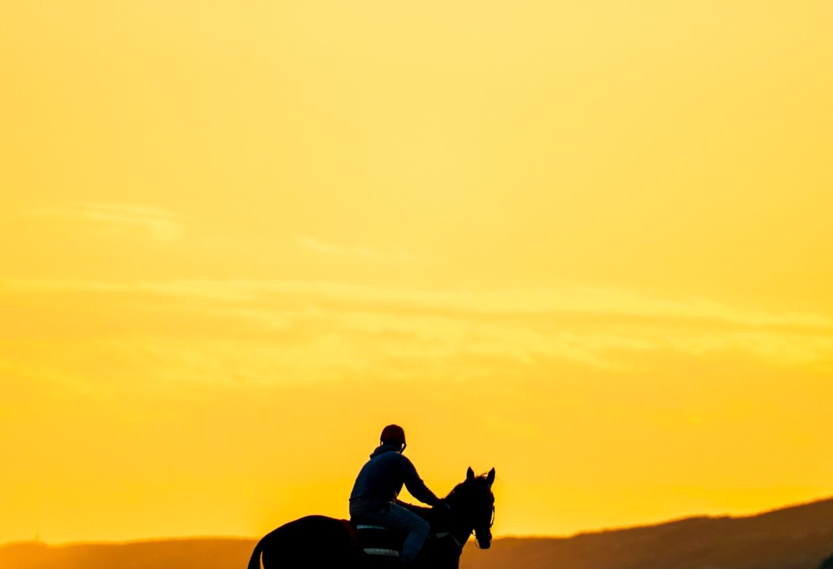 Horse at Thirteenth Beach — photograph by Santosh Bista
