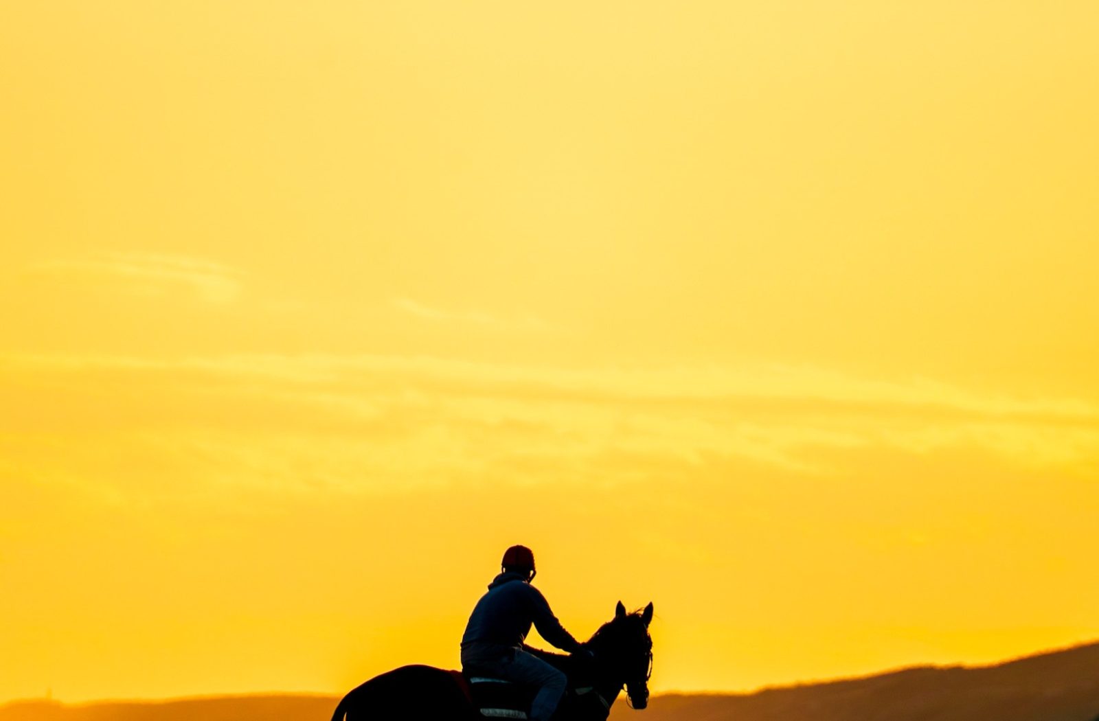 Horse at Thirteenth Beach — photograph by Santosh Bista