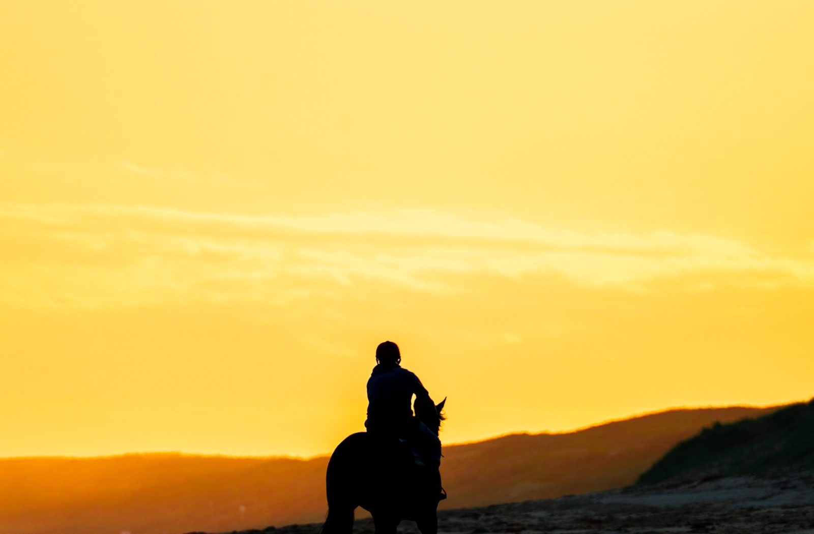 Horse at Thirteenth Beach — photograph by Santosh Bista