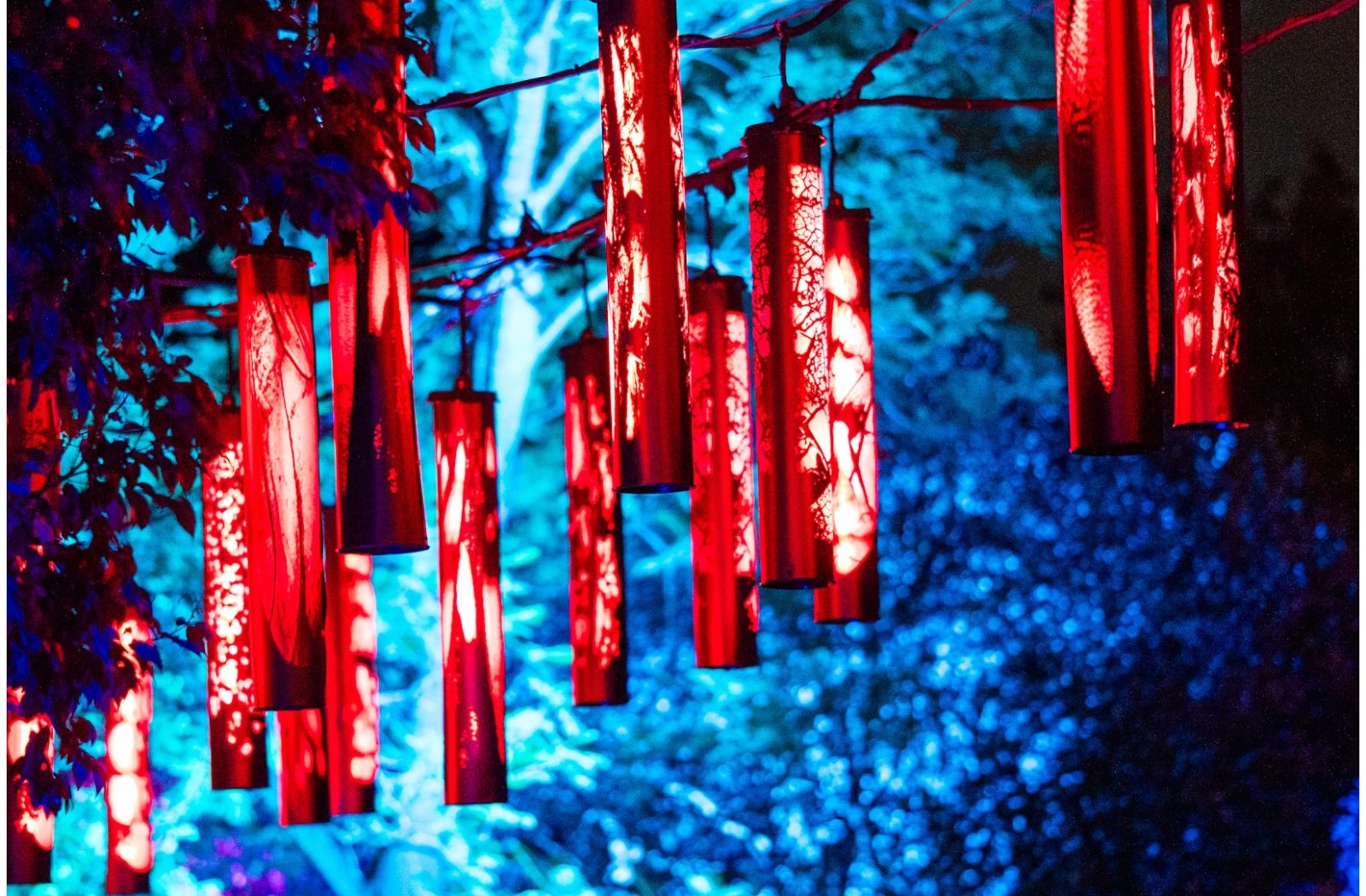 Melbourne Botanical Garden Light Show — photograph by Santosh Bista