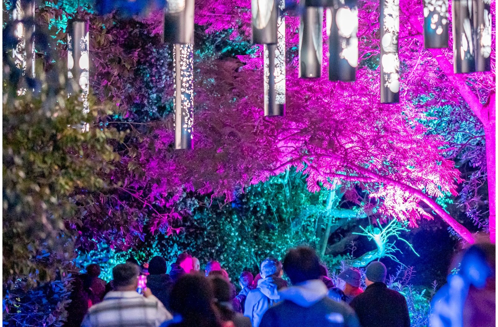Melbourne Botanical Garden Light Show — photograph by Santosh Bista