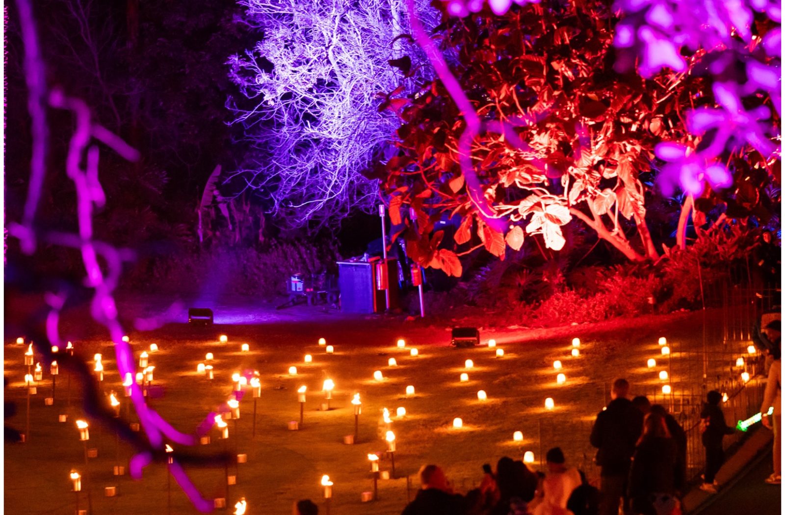 Melbourne Botanical Garden Light Show — photograph by Santosh Bista