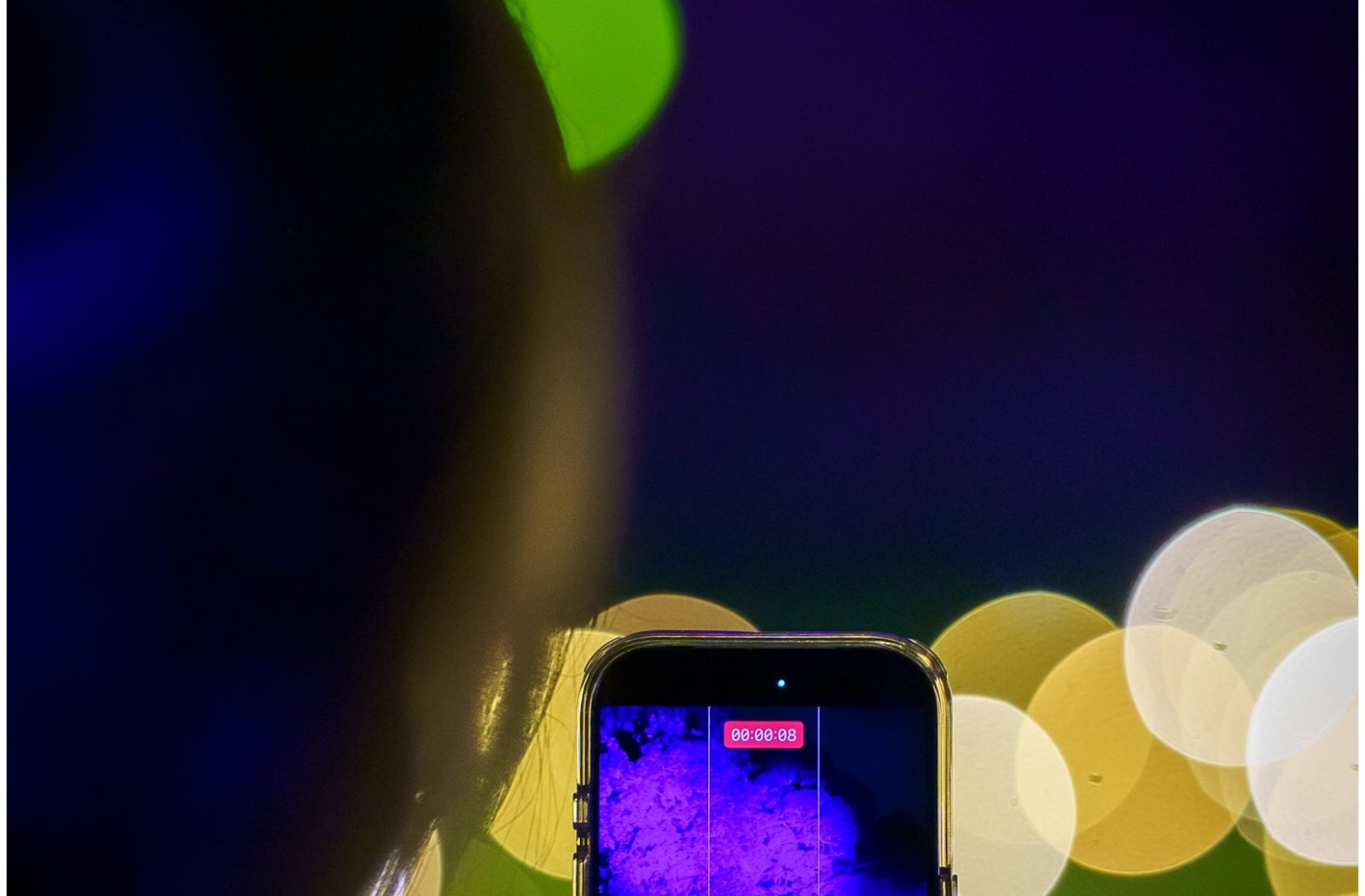 Melbourne Botanical Garden Light Show — photograph by Santosh Bista