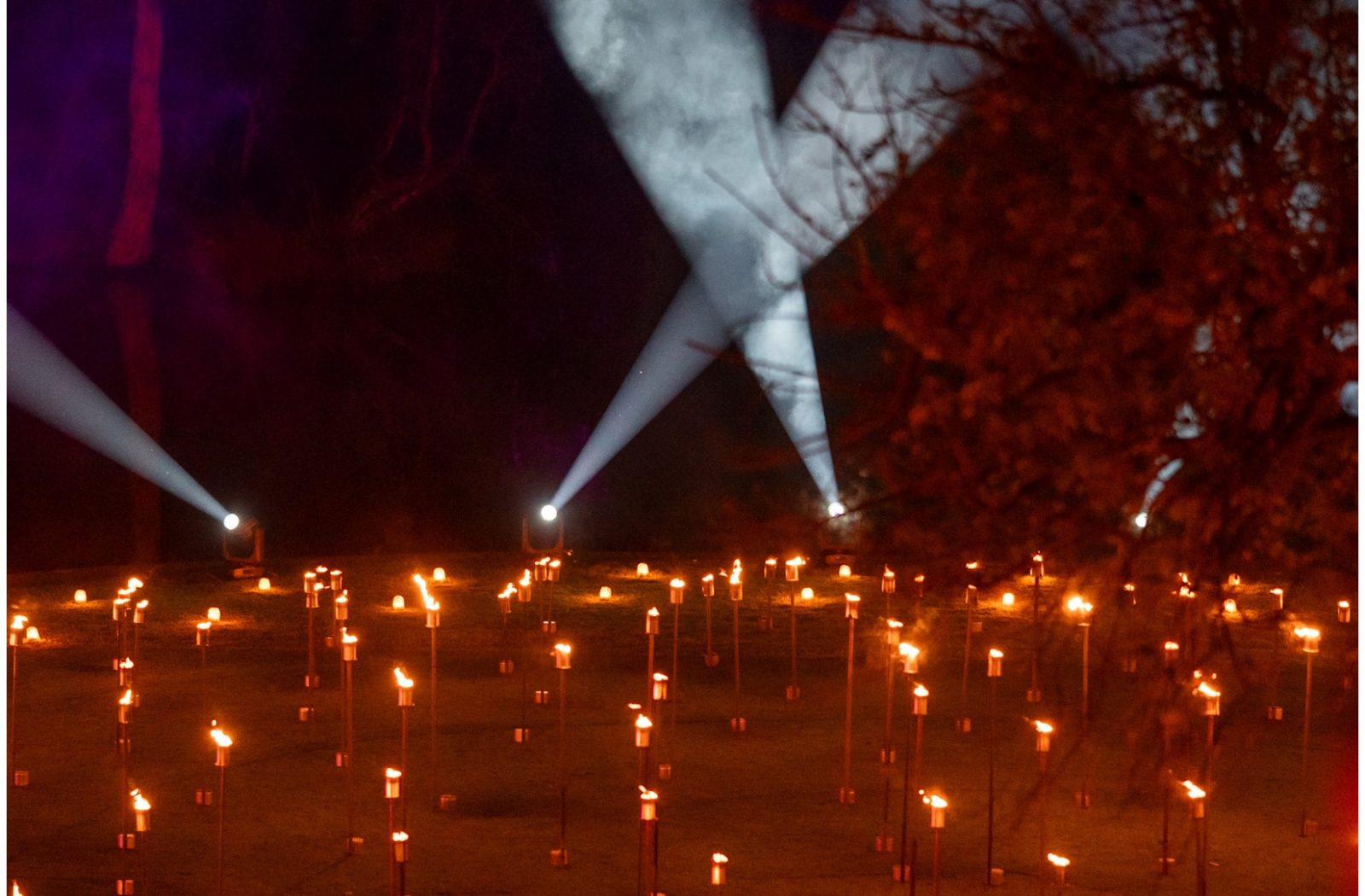 Melbourne Botanical Garden Light Show — photograph by Santosh Bista