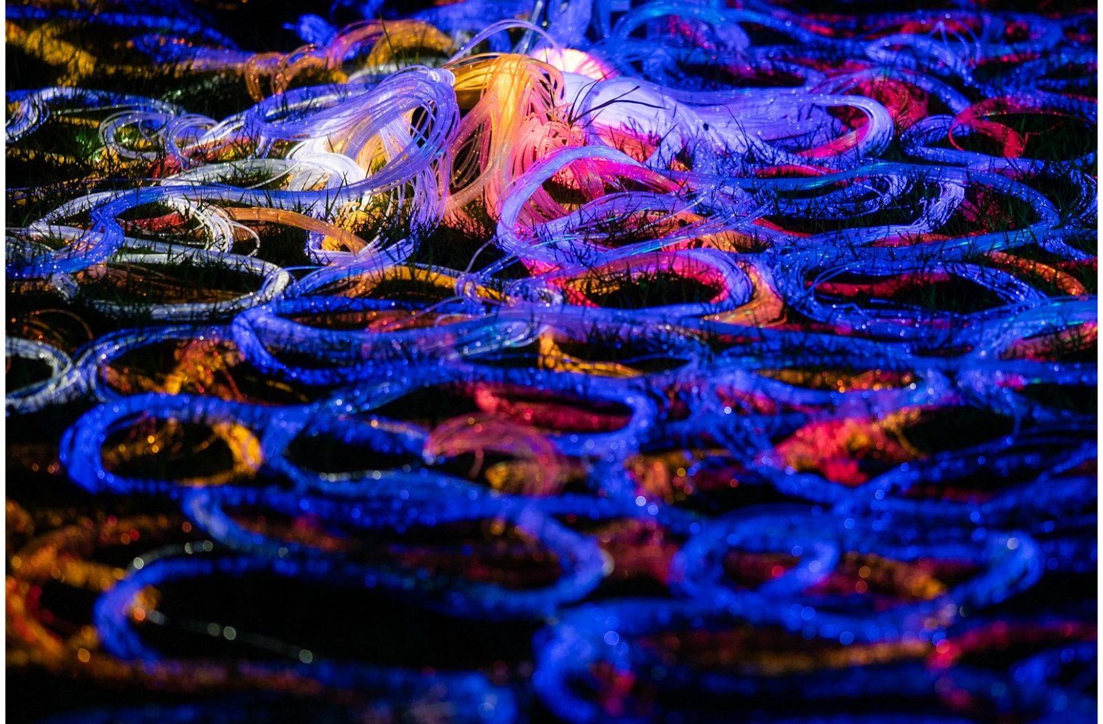 Melbourne Botanical Garden Light Show — photograph by Santosh Bista