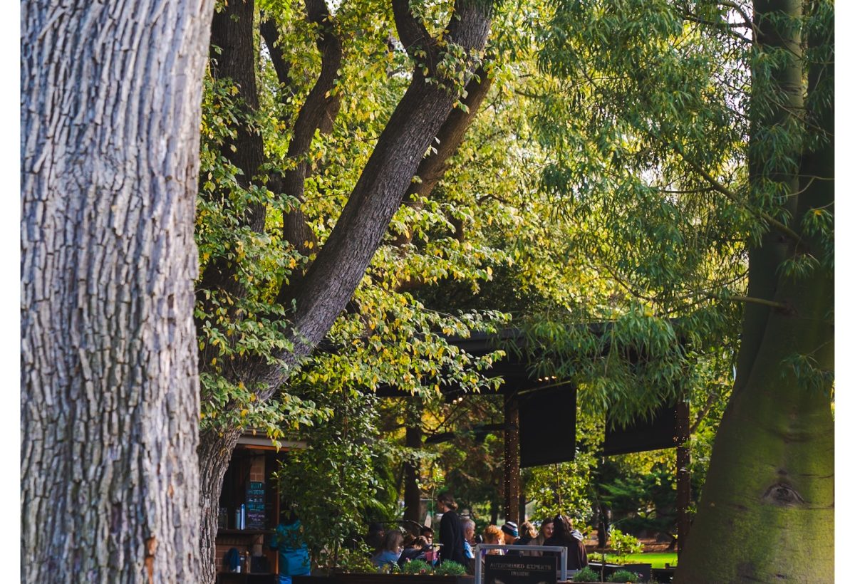 Geelong Botanical Garden — photograph by Santosh Bista