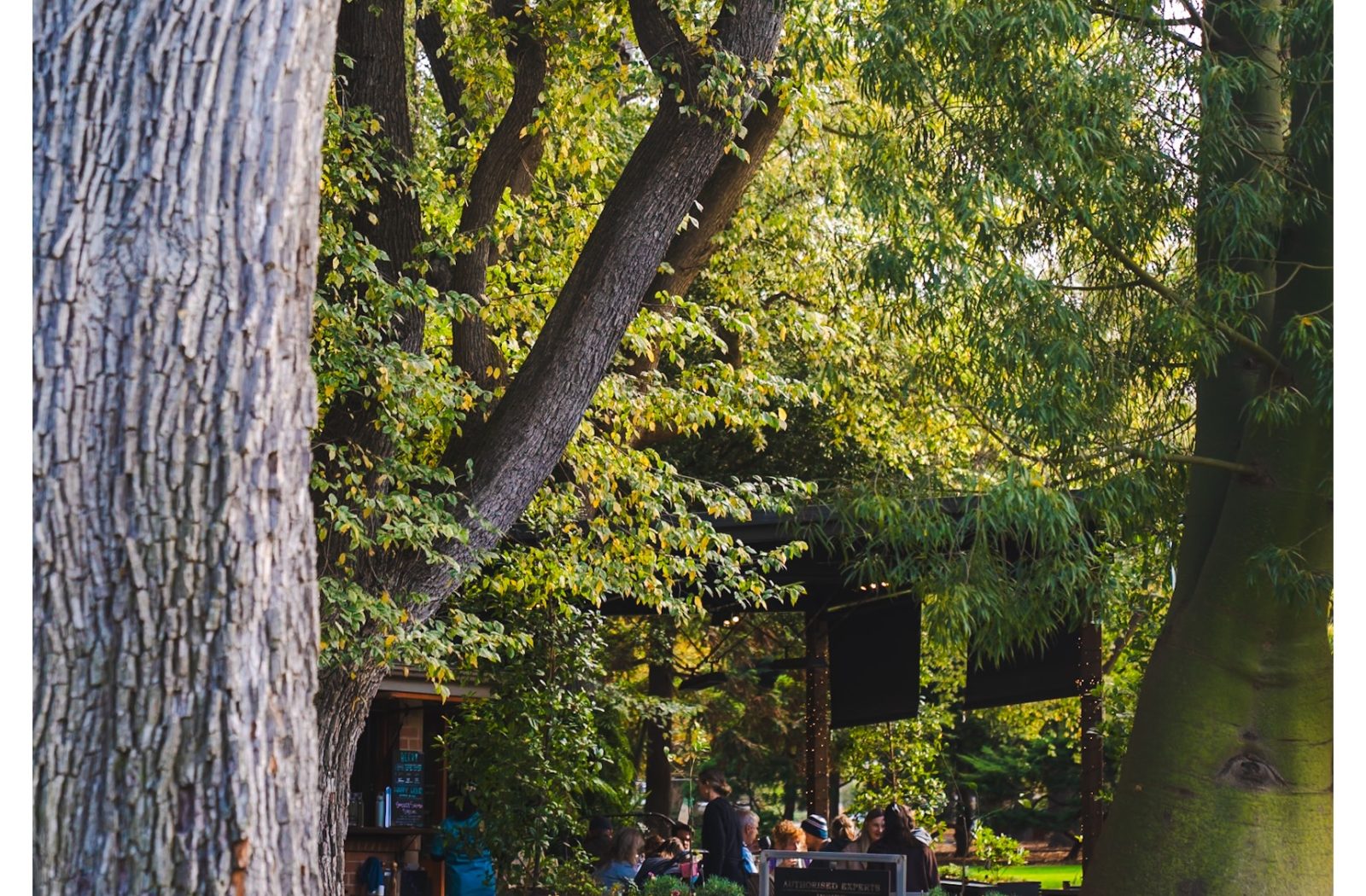 Geelong Botanical Garden — photograph by Santosh Bista
