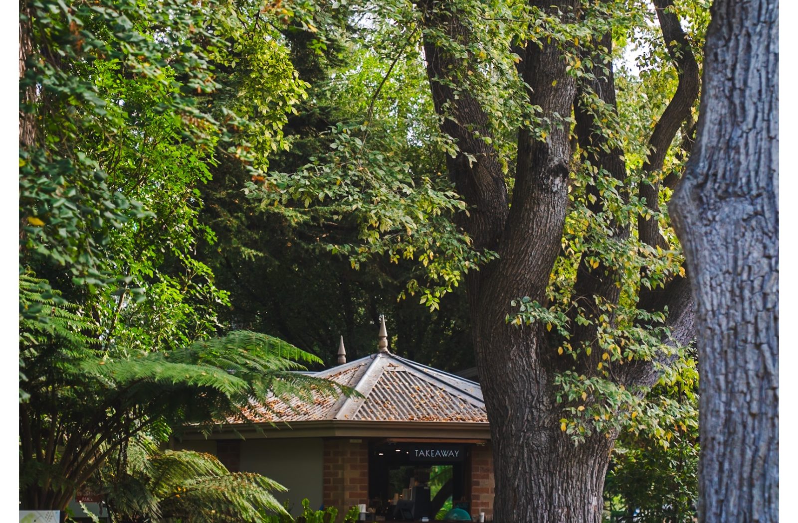 Geelong Botanical Garden — photograph by Santosh Bista
