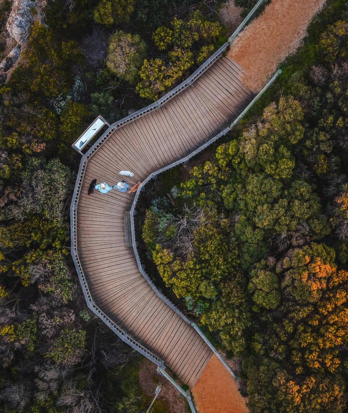 Barwon Heads Bluff — photograph by Santosh Bista